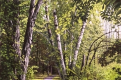 Marlene Wiedenbaum, PSA-MP, Leggett Road Rail Trail, pastel on paper, 24” x 18” $3600